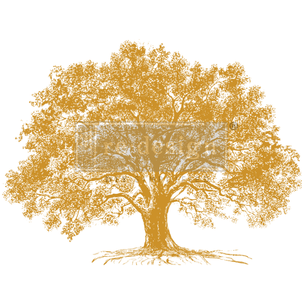 Growth - Kacha Gold Foil - Transferts d'image