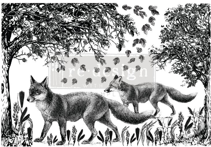 Transferts d'image - Fox Meadows