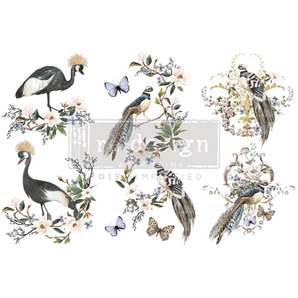 Transferts d'image - Rare Birds (Petit)