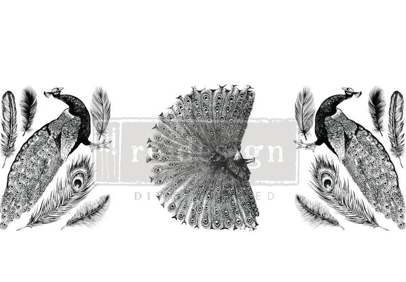 Transferts d'image - Regal Peacock (Middy)