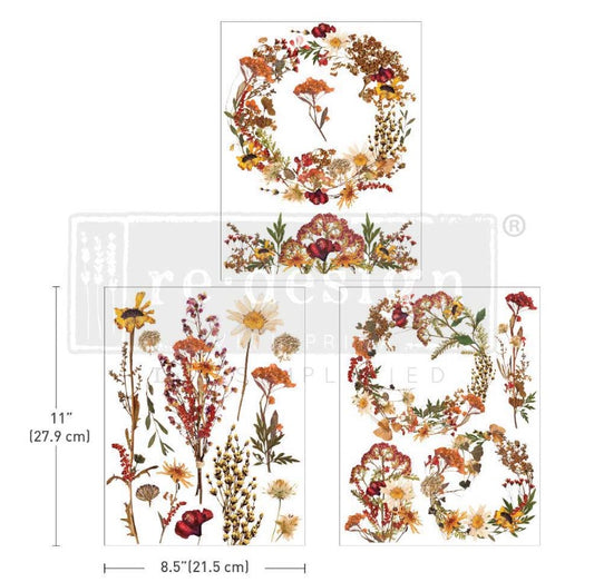 Transferts d'image - Dried Flowers (Middy)