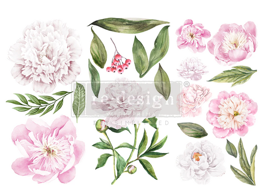 Transferts d'image - Morning Peonies (Petit Transfert)