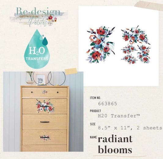 H2O Petit Transfert - Radiant Blooms