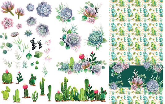 Image transfers - Cacti &amp; Succulents