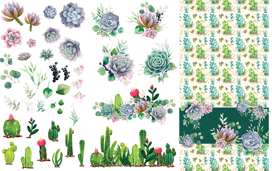 Transferts d'image - Cacti & Succulents