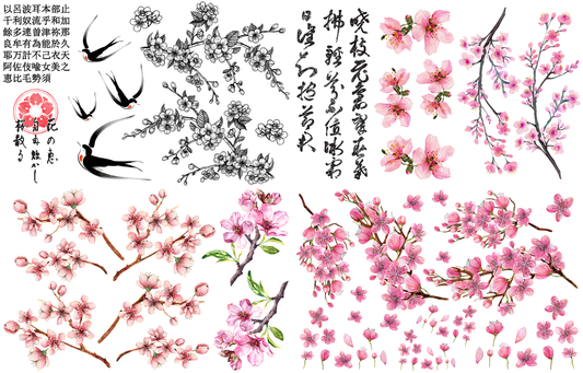 Image Transfers - Cherry Blossom