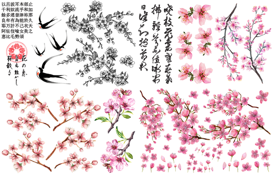 Transferts d'image - Cherry Blossom