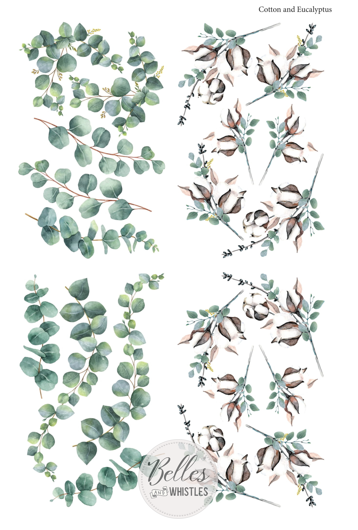 Transferts d'image - Cotton & Eucalyptus