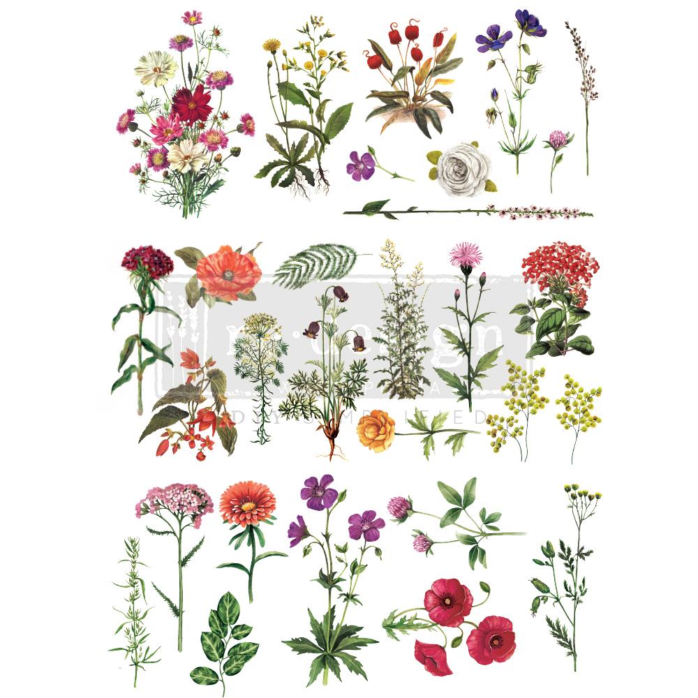 Image transfers - Floral Collection