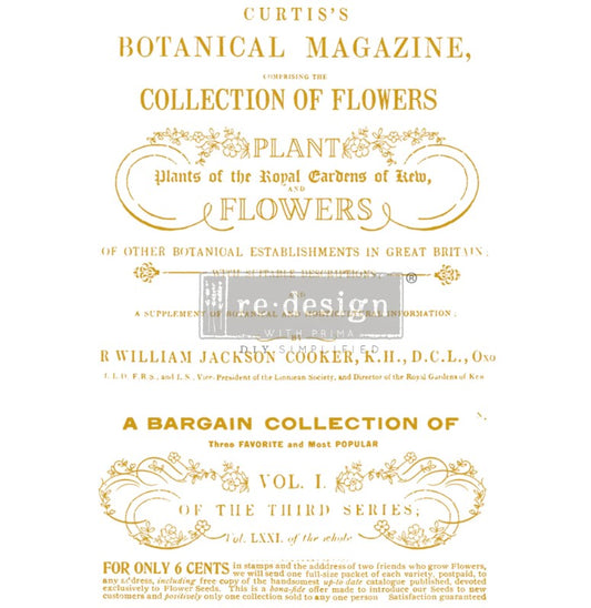 Transferts d'image - Flower Collector