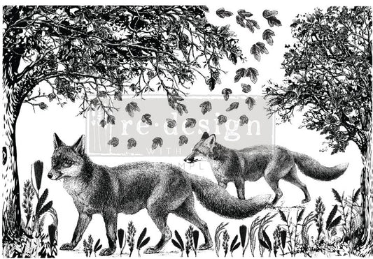 Transferts d'image - Fox Meadows