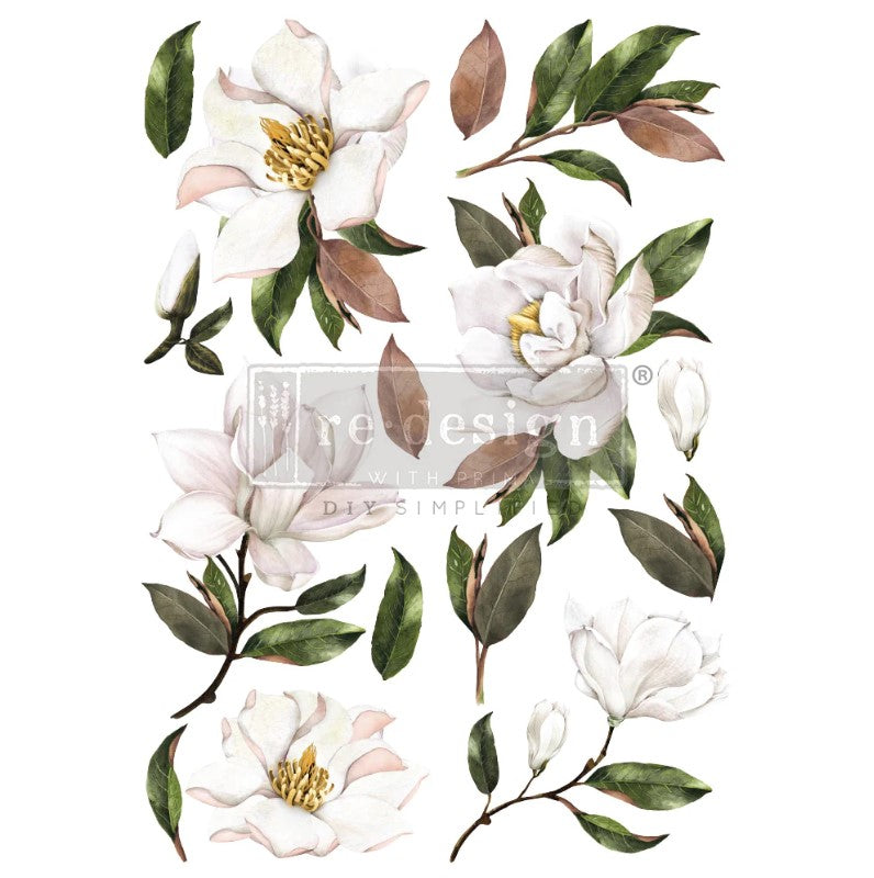 Transferts d'image - Magnolia Grandiflora