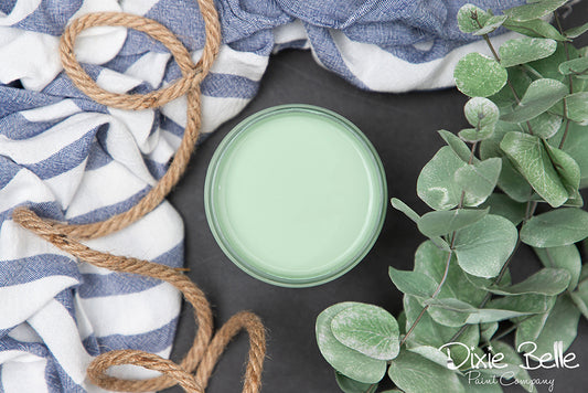 La peinture de couleur "Mint Julep" de Dixie Belle est un beau et rafraîchissant vert clair. La peinture à la craie minérale de Dixie Belle est un produit de qualité supérieur. Parfaite pour peindre sur les meubles, elle peut aussi très bien être utilisée sur d'autres surfaces comme le bois, le métal, le verre, la céramique, le tissus et plus.
