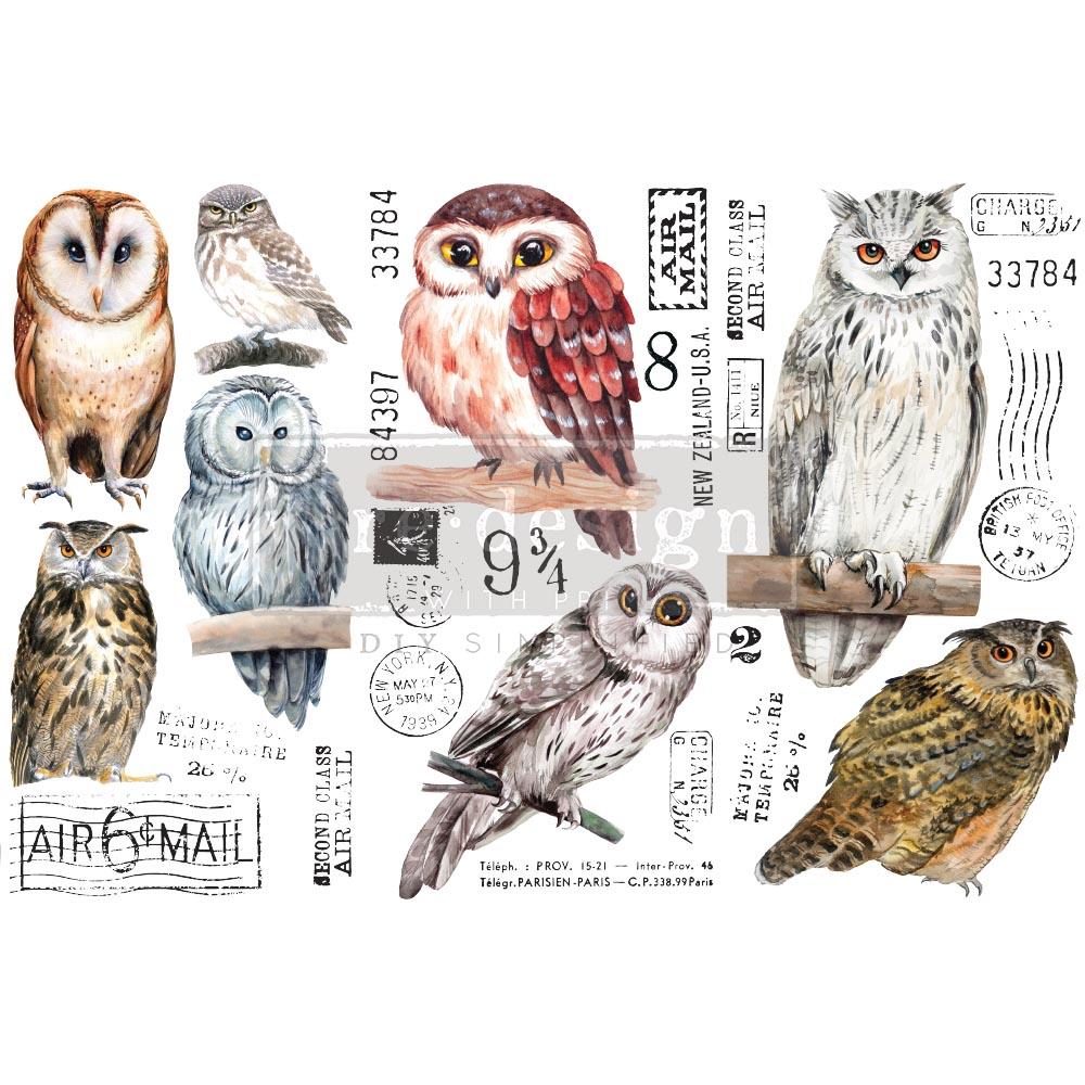 Image Transfers - Owl