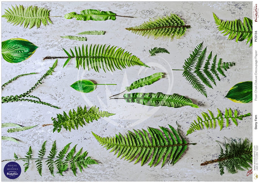 Papier découpage -Stony Fern (Papier de Riz)
