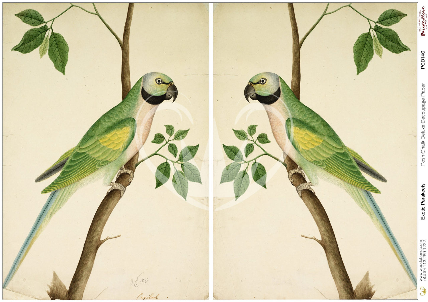 Papier découpage -Exotic Parakeet (Papier de Riz)