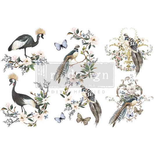 Transferts d'image - Rare Birds (Petit)