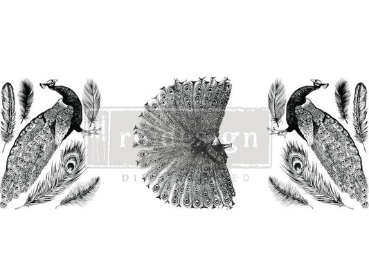 Transferts d'image - Regal Peacock (Middy)