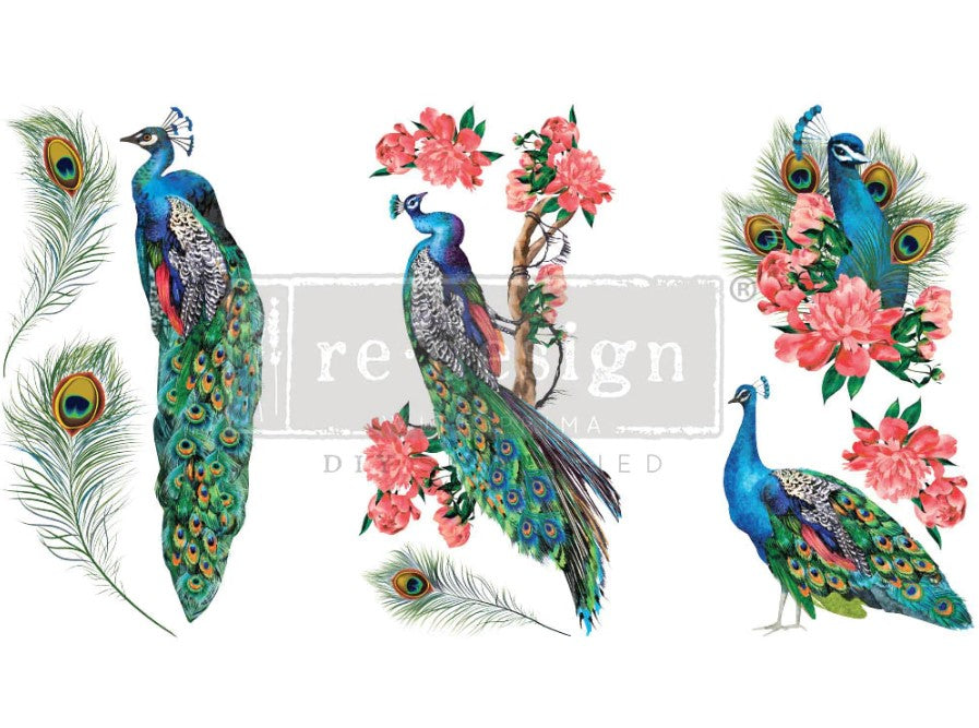 Transferts d'image - Royal Peacock (Petit)