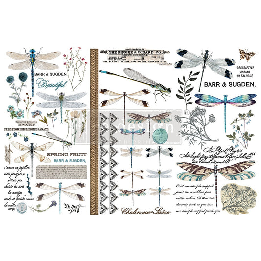 Image Transfers - Spring Dragonfly