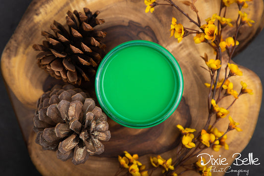 Peinture Dixie Belle - Tree Frog Green 16oz